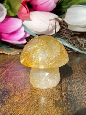 Golden Healer Mushroom